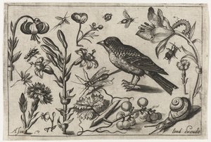 Flores, un caracol y un pájaro. Pájaros, flores, insectos, etc. (título de la serie) de Nicolaes de Bruyn (possibly)