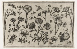 Flores, una mosca y un caracol. Pájaros, flores, insectos, etc. (título de la serie)