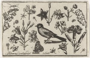 Flores, mariposa y un pájaro. Pájaros, flores, insectos, etc. (título de la serie) de Nicolaes de Bruyn (possibly)