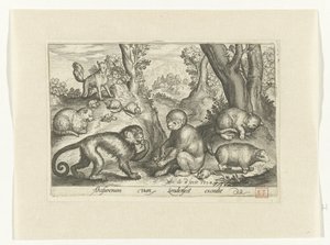 Monos, gatos y ratones Animalivm qvadrvpedvm (título de la serie) Animales en paisajes (título de la serie)