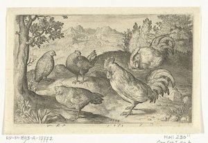 Tres gallinas y dos gallos Pájaros e insectos (título de la serie)