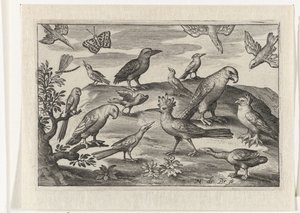 Lúpulo y otras aves Pájaros e insectos (título de la serie) de Nicolaes de Bruyn