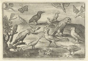 Lúpulo y otras aves Pájaros e insectos (título de la serie) de Nicolaes de Bruyn