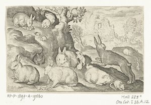 Conejos, ardilla, conejillo de indias y ratón Animalivm qvadrvpedvm (título de la serie) Animales en paisajes (título de la serie) de Nicolaes de Bruyn