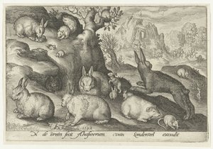 Conejos, ardilla, conejillo de indias y ratón Animalivm qvadrvpedvm (título de la serie) Animales en paisajes (título de la serie)