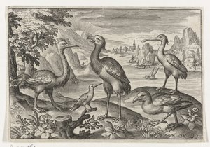 Grulla coronada entre dos avestruces Pájaros e insectos (título de la serie) de Nicolaes de Bruyn