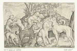 Nueve perros Animalivm qvadrvpedvm (título de la serie) Animales en paisajes (título de la serie) de Nicolaes de Bruyn