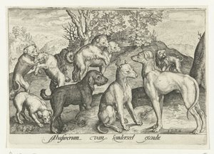 Nueve perros Animalivm qvadrvpedvm (título de la serie) Animales en paisajes (título de la serie)