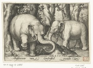 dos elefantes Animalivm qvadrvpedvm (título de la serie) Animales en paisajes (título de la serie) de Nicolaes de Bruyn