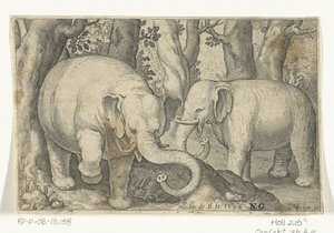 dos elefantes Animalivm qvadrvpedvm (título de la serie) Animales en paisajes (título de la serie) de Nicolaes de Bruyn