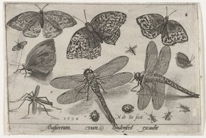 mariposas y libélulas Pájaros e insectos (título de la serie)