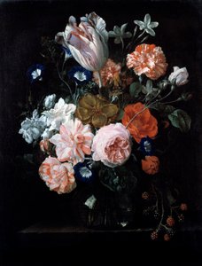 Un tulipán, claveles y gloria de la mañana en un jarrón de vidrio, siglo XVII de Nicolaes van Veerendael