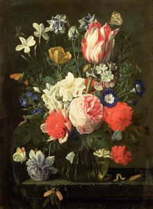 Imagen desconocida de Nicolaes van Veerendael