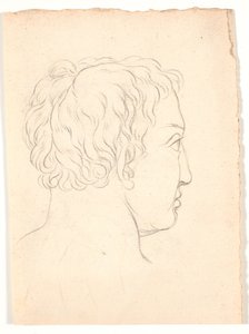 Una cabeza de un hombre vista desde atrás de Nicolai Abildgaard