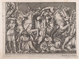 Speculum Romanae Magnificentiae: Batalla de las Amazonas, 1559