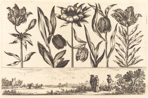 Impresión de flores n.º 11
