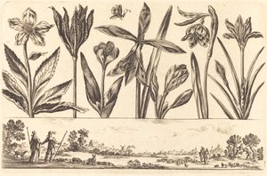Impresión de flores n.º 4