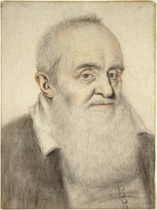 Cabeza de un Hombre con Barba de Nicolas Lagneau or Lanneau