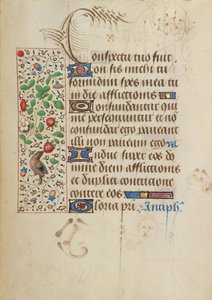 Página de texto decorada de Nicolas Spierinc