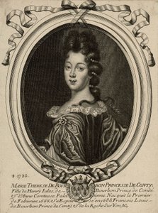 María Teresa de Borbón, Princesa de Conti