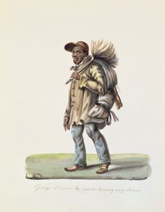 George Cousin, el limpiador de chimeneas patentado de Nicolino Calyo