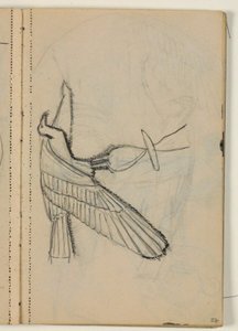 Estudios de aves, probablemente después de un modelo