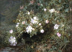 Un estudio de rosas silvestres, c.1900 de Niels Pieter Rasmussen