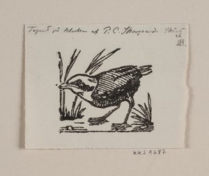 Un pichón de Niels Skovgaard