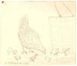Una gallina con pollitos