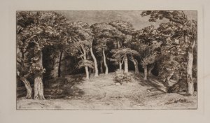 Hestehaven de Niels Skovgaard