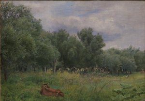 Pilotes en un prado cerca de Nysø