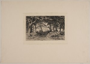 Carro en camino forestal de Niels Skovgaard