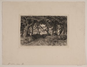 Carro en el camino del bosque de Niels Skovgaard