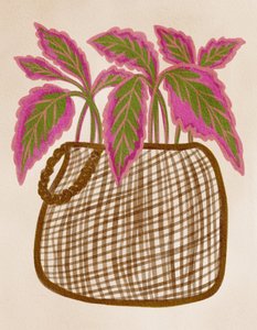 Planta en maceta de colores vivos de Nikita Jariwala