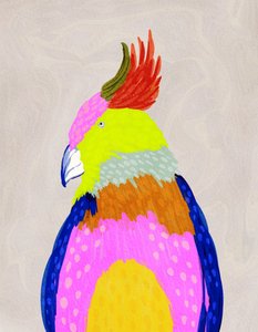 Loro tropical de colores vivos de Nikita Jariwala