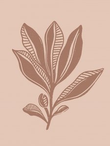 Dibujo botánico natural de Nikita Jariwala