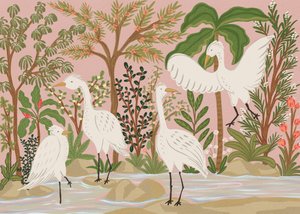 Garzas tranquilas de la selva de Nikita Jariwala