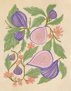 Higos morados y flores de Nikita Jariwala