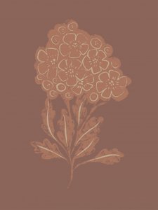 Flor rústica y botánica de Nikita Jariwala