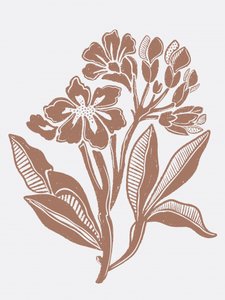 Ilustración floral rústica de Nikita Jariwala