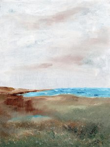 Paisaje sereno de playa de Nikita Jariwala