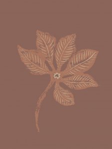 Hoja botánica con textura de Nikita Jariwala
