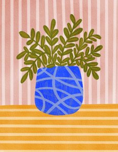 Planta de interior de colores vivos de Nikita Jariwala