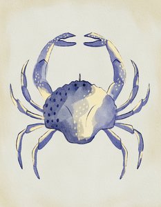 Cangrejo azul en acuarela de Nikita Jariwala