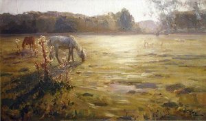 Caballo en un prado