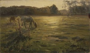 Caballos en el prado