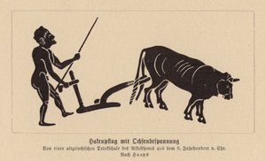 Antiguo arado griego tirado por bueyes (litografía) de Nikosthenes