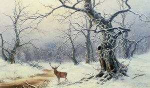 Imagen desconocida de Nils Hans Christiansen
