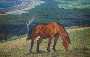 Caballo de pastoreo
