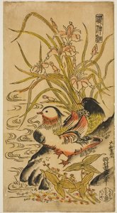 Patos mandarines, de la serie "Kashinsai" de Nishimura Shigenaga